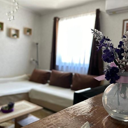 Vila Levendula Vendeghaz Balatonföldvár Exteriér fotografie